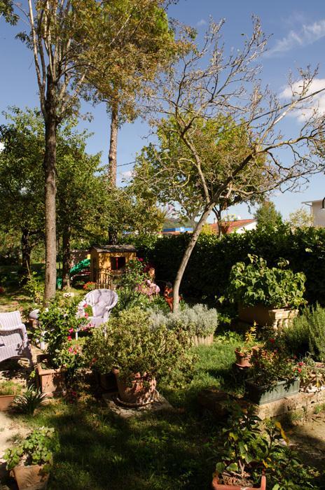 Rose E Merletti Guest House Sasso Feltrio ภายนอก รูปภาพ