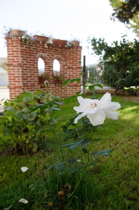 Rose E Merletti Guest House Sasso Feltrio ภายนอก รูปภาพ